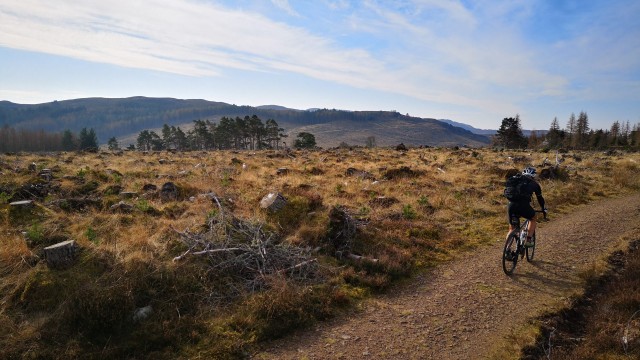 Cycle forest tracks cycling round loch
