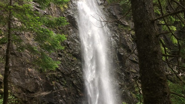 See Plodda Falls Plodda Falls